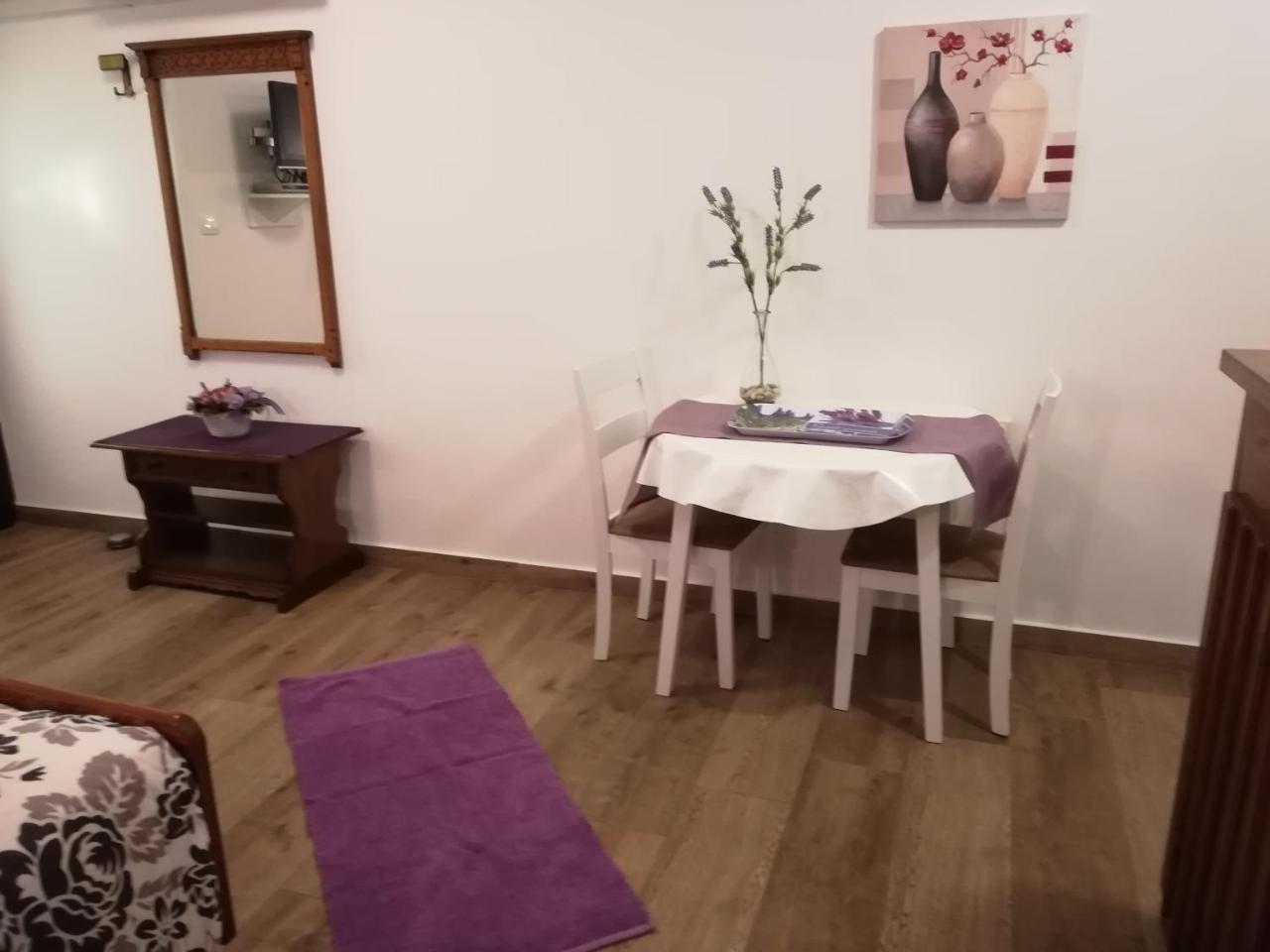 פורץ Apartmani Villa Otilija מראה חיצוני תמונה